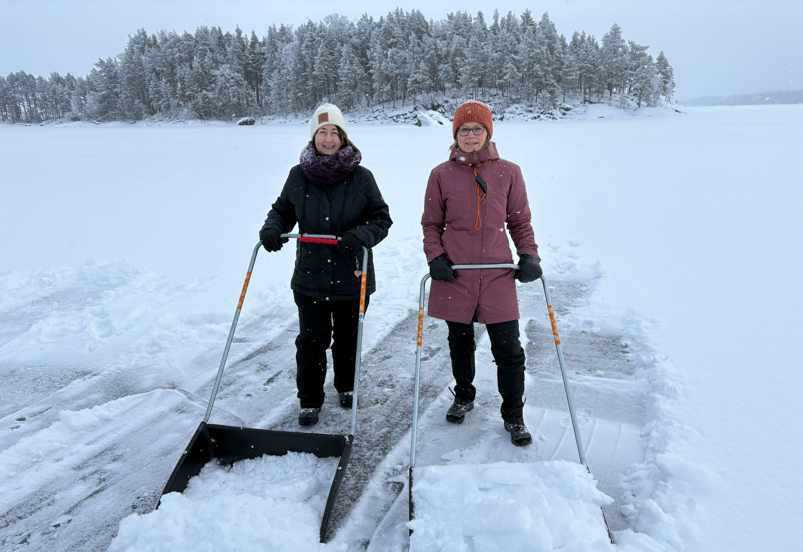 Norppien apukinoksia kolaamassa