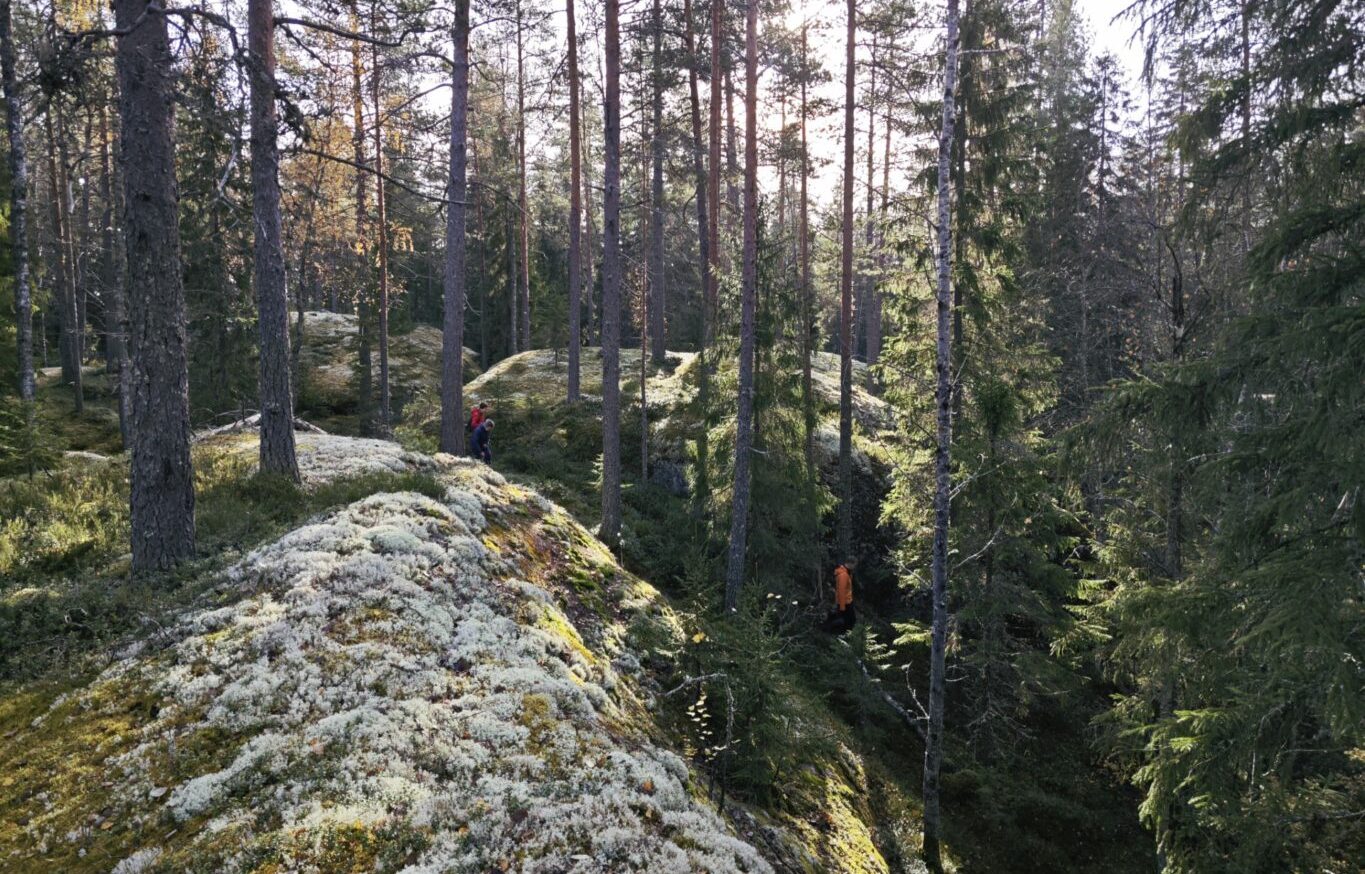 Etelä-Karjalaan tulee perustaa Haarikon-Lohikosken kansallispuisto!